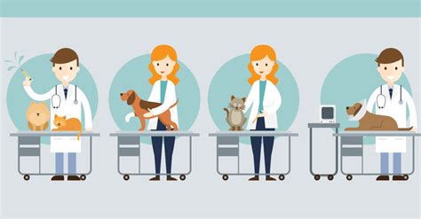 Student doctor network veterinary - Student Doctor Network is helping build a diverse doctor workforce by providing a wide range of free resources to help students in their educational journey. Medical. Dental. …